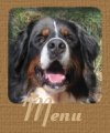 retour menu balades
